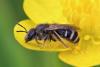 358054 – Photo : Mathurin CARNET – France (58)